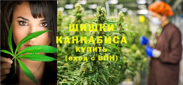 трава Слюдянка