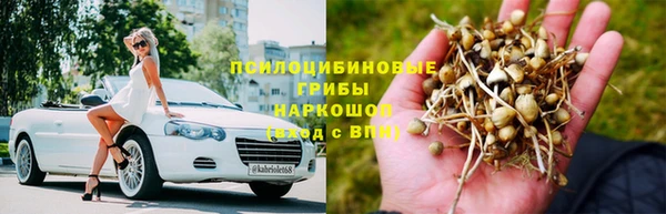 мяу мяу мука Снежногорск